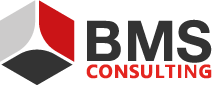 BMS Consulting